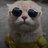 shalin_b