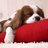 wael_g