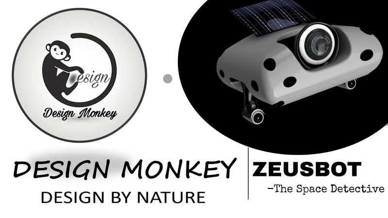 Design Monkey