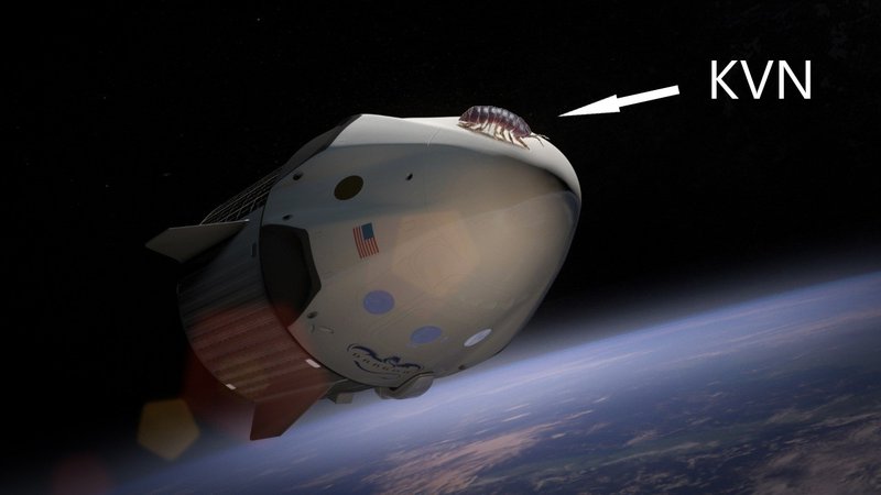 ESPACIO FINAL