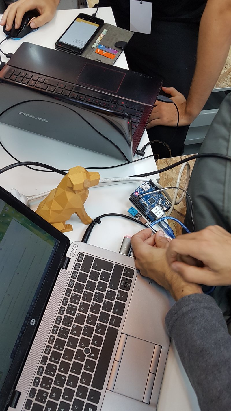 arduino connected with the sensors and watched by our golden retriver