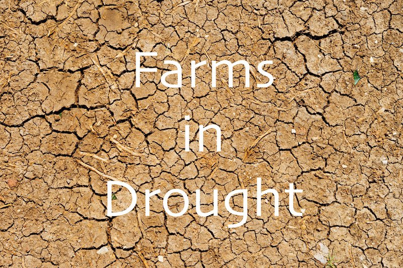 Farms in Drought